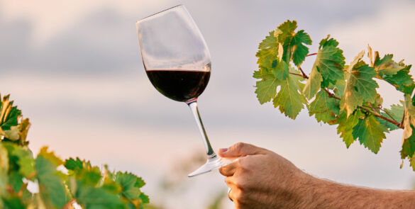 A vertical shot of a person holding a glass of wine in the vineyard under the sunlight
